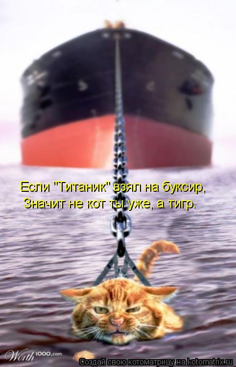 Если "Титаник" взял на буксир, Значит не кот ты уже, а тигр.... Котоматрица: Если "Титаник" взял на буксир, Значит не кот ты уже, а тигр.