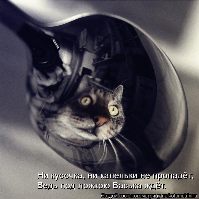 Ни кусочка, ни капельки не пропадёт, Ведь под ложкою Васька ждёт.... Котоматрица: Ни кусочка, ни капельки не пропадёт, Ведь под ложкою Васька ждёт.