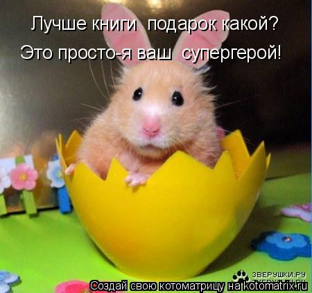 Лучше книги подарок какой? Это просто-я ваш супергерой!... Котоматрица: Лучше книги подарок какой? Это просто-я ваш супергерой!
