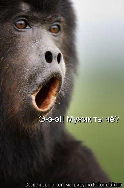 Э-э-э!! Мужик ты чё?... Котоматрица: Э-э-э!! Мужик ты чё?