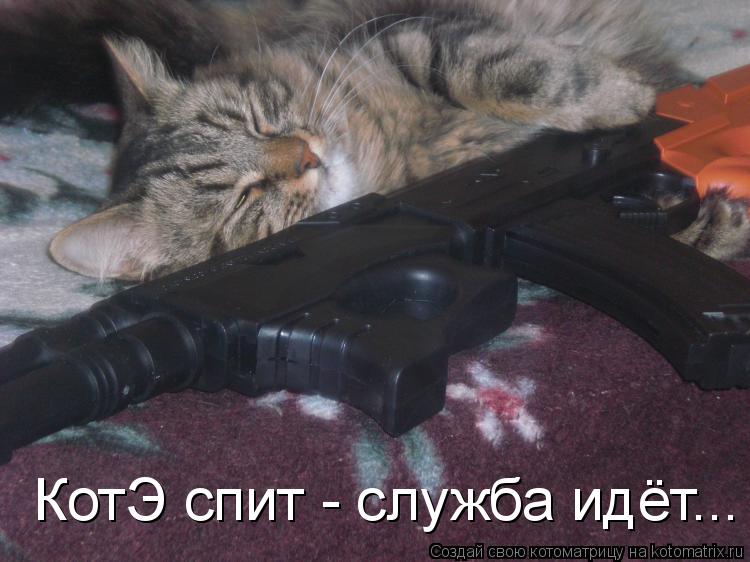 КотЭ спит - служба идёт...... Котоматрица: КотЭ спит - служба идёт...