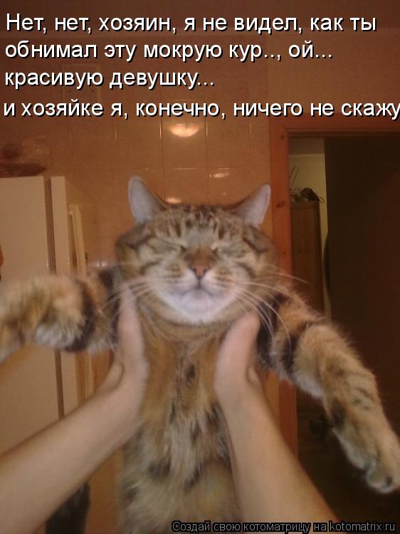 Нет, нет, хозяин, я не видел, как ты обнимал эту мокрую кур.., ой... красивую девушку... и хозяйке я... Котоматрица: Нет, нет, хозяин, я не видел, как ты обнимал эту мокрую кур.., ой... красивую девушку... и хозяйке я, конечно, ничего не скажу