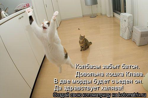 Котоматрица: В две морды будет съеден он. Да здравствует халява! Довольна кошка Клава. Колбасы забыт батон.