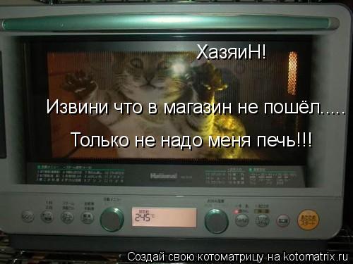 ХазяиН! Извини что в магазин не пошёл..... Только не надо меня печь!!!... Котоматрица: ХазяиН! Извини что в магазин не пошёл..... Только не надо меня печь!!!