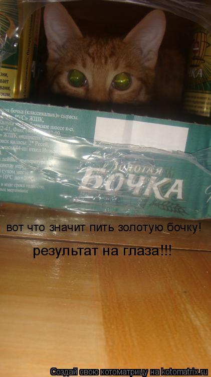 вот что значит пить золотую бочку! результат на глаза!!!... Котоматрица: вот что значит пить золотую бочку! результат на глаза!!!
