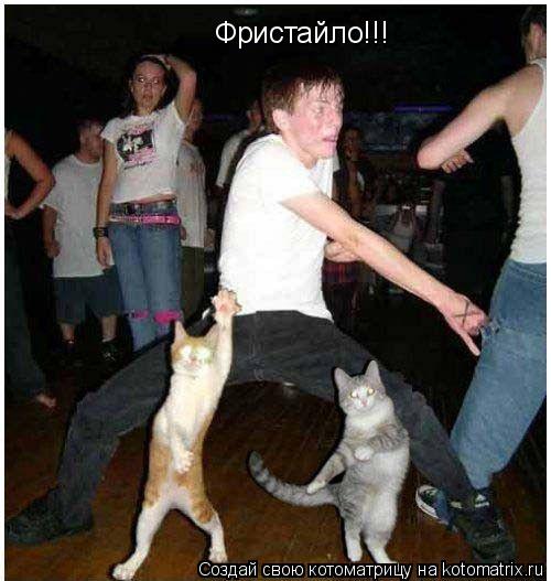 Фристайло!!!... Котоматрица: Фристайло!!!