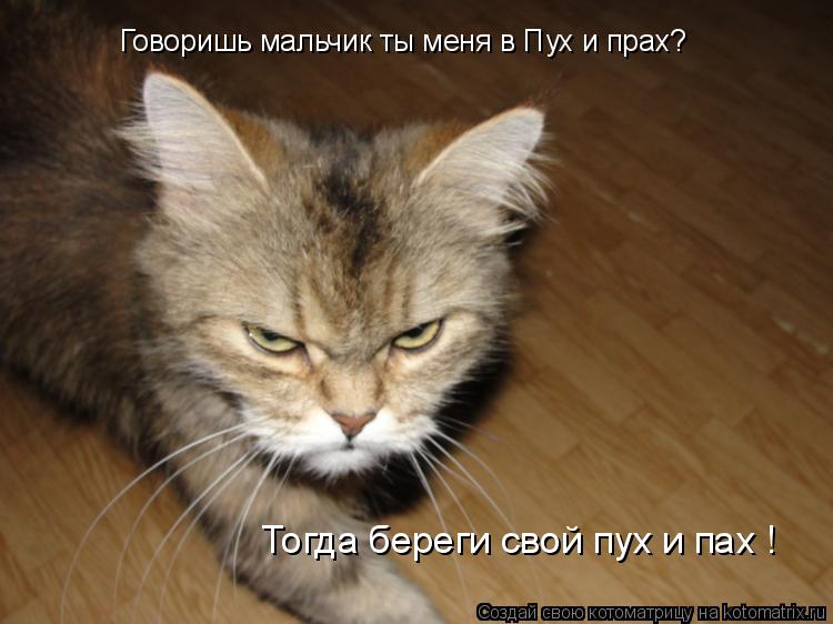 Говоришь мальчик ты меня в Пух и прах? Тогда береги свой пух и пах !... Котоматрица: Говоришь мальчик ты меня в Пух и прах? Тогда береги свой пух и пах !