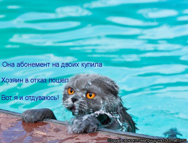 Вот я и отдуваюсь! Хозяин в отказ пошел Она абонемент на двоих купила... Котоматрица: Вот я и отдуваюсь! Хозяин в отказ пошел Она абонемент на двоих купила