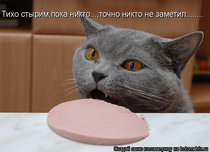 Тихо стырим,пока никто...,точно никто не заметил........... Котоматрица: Тихо стырим,пока никто...,точно никто не заметил........