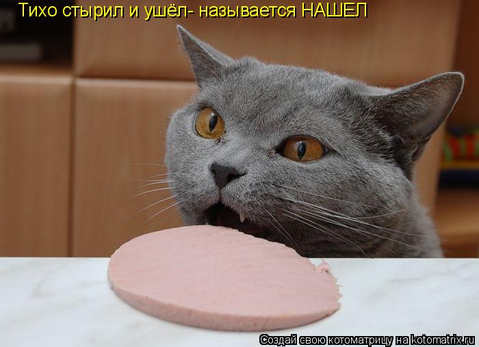Тихо стырил и ушёл- называется НАШЕЛ... Котоматрица: Тихо стырил и ушёл- называется НАШЕЛ