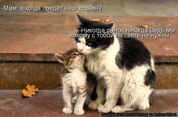 -Мам, а когда придёт наш хозяин? -Никогда,сынок,никогда.Ведь мы никому с тобой на свете не нужны...... Котоматрица: -Мам, а когда придёт наш хозяин? -Никогда,сынок,никогда.Ведь мы никому с тобой на свете не нужны...
