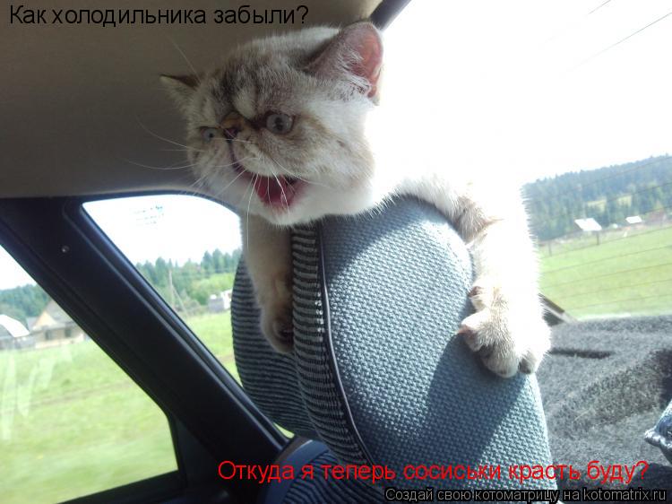 Как холодильника забыли? Откуда я теперь сосиськи красть буду?... Котоматрица: Как холодильника забыли? Откуда я теперь сосиськи красть буду?