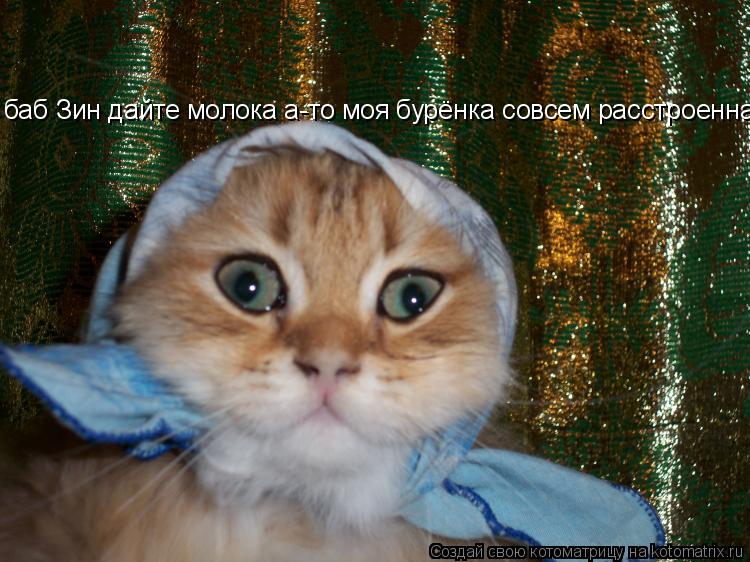 баб Зин дайте молока а-то моя бурёнка совсем расстроенна... Котоматрица: баб Зин дайте молока а-то моя бурёнка совсем расстроенна