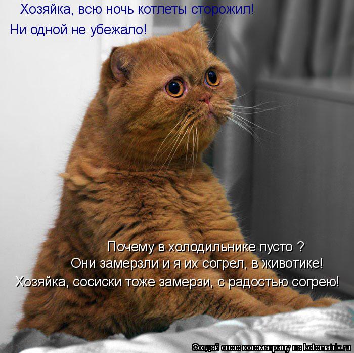 Ни одной не убежало! Хозяйка, всю ночь котлеты сторожил! Они замерзли и я их согрел, в животике! Поче... Котоматрица: Ни одной не убежало! Хозяйка, всю ночь котлеты сторожил! Они замерзли и я их согрел, в животике! Почему в холодильнике пусто ? Хозяйка, сосиск