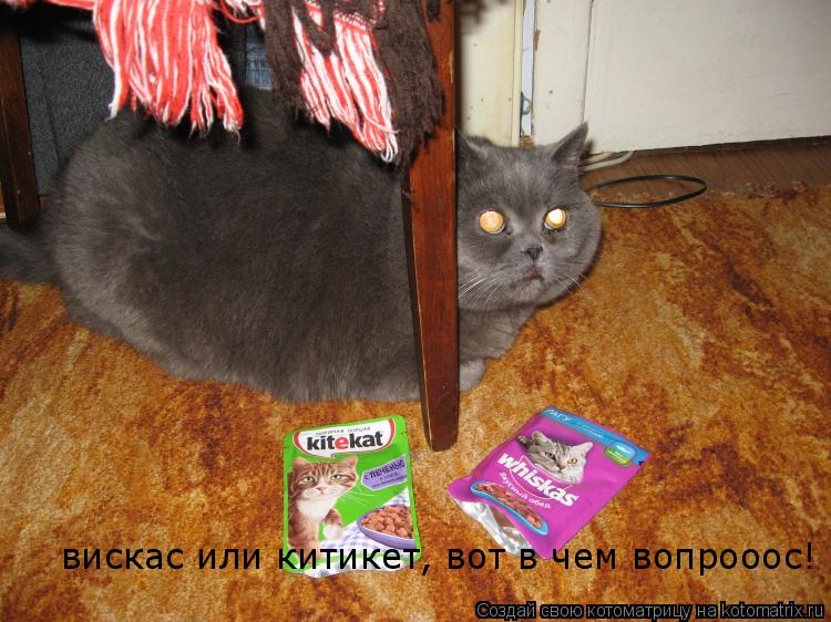 вискас или китикет, вот в чем вопрооос!... Котоматрица: вискас или китикет, вот в чем вопрооос!