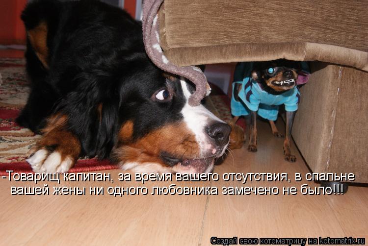 -Товарищ капитан, за время вашего отсутствия, в спальне вашей жены ни одного любовника замечено не бы... Котоматрица: -Товарищ капитан, за время вашего отсутствия, в спальне вашей жены ни одного любовника замечено не было!!!