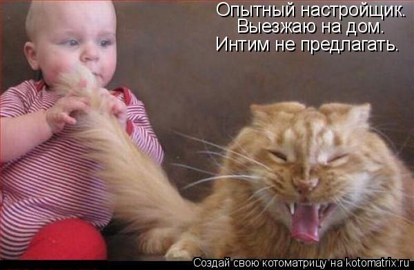 Опытный настройщик. Выезжаю на дом. Интим не предлагать.... Котоматрица: Опытный настройщик. Выезжаю на дом. Интим не предлагать.