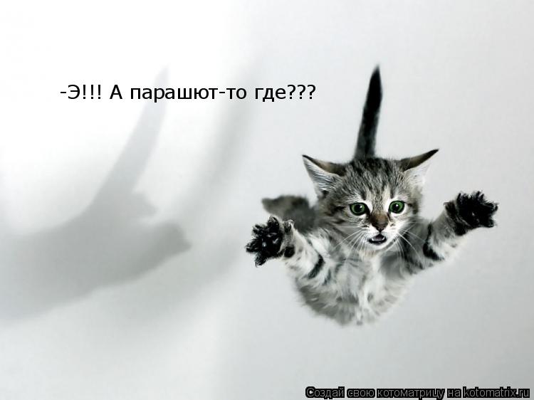 -Э!!! А парашют-то где???... Котоматрица: -Э!!! А парашют-то где???