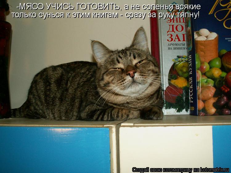 -МЯСО УЧИСЬ ГОТОВИТЬ, а не соленья всякие только сунься к этим книгам - сразу за руку тяпну!... Котоматрица: -МЯСО УЧИСЬ ГОТОВИТЬ, а не соленья всякие только сунься к этим книгам - сразу за руку тяпну!