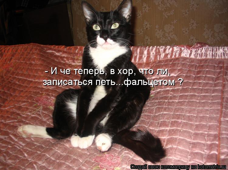 записаться петь...фальцетом ? - И че теперь, в хор, что ли,... Котоматрица: записаться петь...фальцетом ? - И че теперь, в хор, что ли,