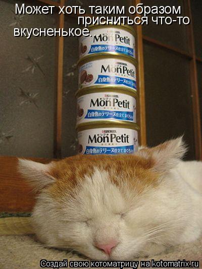 Может хоть таким образом присниться что-то вкусненькое...... Котоматрица: Может хоть таким образом присниться что-то вкусненькое...
