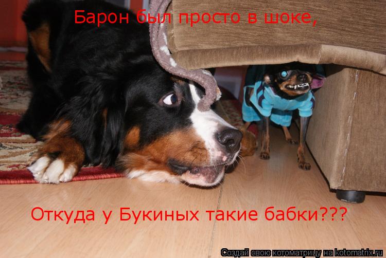 Барон был просто в шоке, Откуда у Букиных такие бабки???... Котоматрица: Барон был просто в шоке, Откуда у Букиных такие бабки???