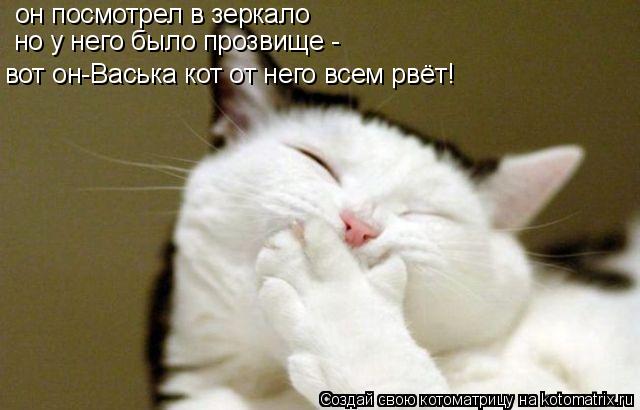 он посмотрел в зеркало но у него было прозвище - вот он-Васька кот от него всем рвёт!... Котоматрица: он посмотрел в зеркало но у него было прозвище - вот он-Васька кот от него всем рвёт!