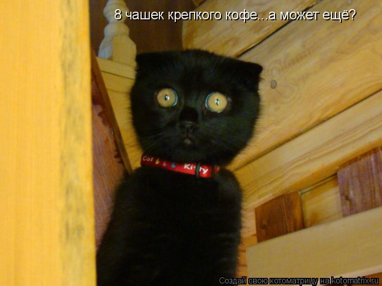 8 чашек крепкого кофе...а может ещё?... Котоматрица: 8 чашек крепкого кофе...а может ещё?