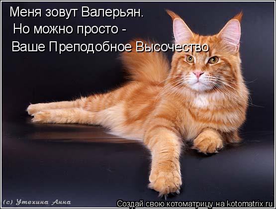 Меня зовут Валерьян. Но можно просто - Ваше Преподобное Высочество... Котоматрица: Меня зовут Валерьян. Но можно просто - Ваше Преподобное Высочество