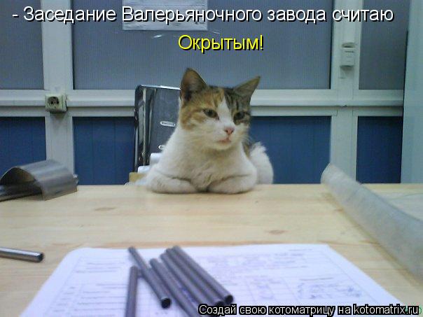 - Заседание Валерьяночного завода считаю Окрытым!... Котоматрица: - Заседание Валерьяночного завода считаю Окрытым!