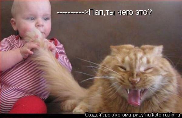 ---------->Пап,ты чего это?... Котоматрица: ---------->Пап,ты чего это?