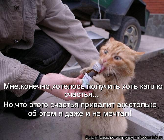 Мне,конечно,хотелось получить хоть каплю счастья... Но,что этого счастья привалит аж столько, об этом... Котоматрица: Мне,конечно,хотелось получить хоть каплю счастья... Но,что этого счастья привалит аж столько, об этом я даже и не мечтал!
