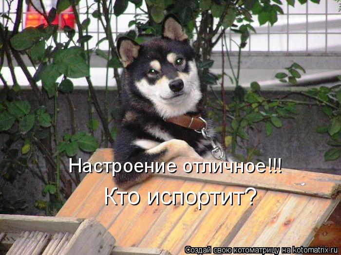 Настроение отличное!!! Кто испортит?... Котоматрица: Настроение отличное!!! Кто испортит?