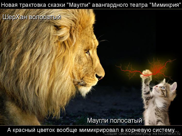 Новая трактовка сказки "Маугли" авангардного театра "Мимикрия" ШерХан волосатый Маугли полосатый А кр... Котоматрица: Новая трактовка сказки "Маугли" авангардного театра "Мимикрия" ШерХан волосатый Маугли полосатый А красный цветок вообще мимикрировал в ко