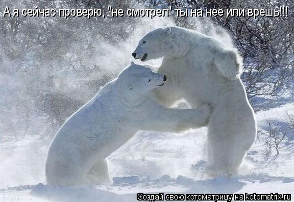 А я сейчас проверю, "не смотрел" ты на нее или врешь!!!... Котоматрица: А я сейчас проверю, "не смотрел" ты на нее или врешь!!!