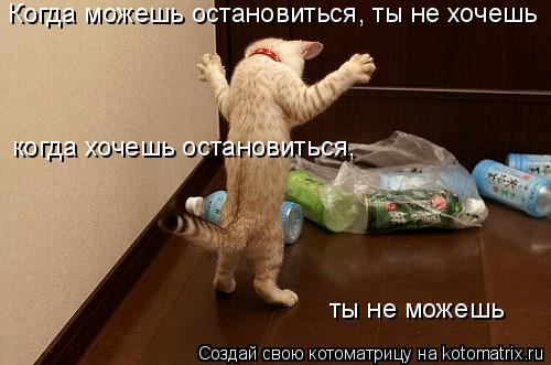 Когда можешь остановиться, ты не хочешь когда хочешь остановиться, ты не можешь... Котоматрица: Когда можешь остановиться, ты не хочешь когда хочешь остановиться, ты не можешь