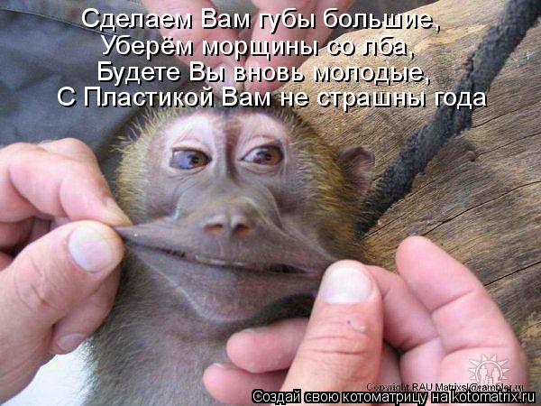 Сделаем Вам губы большие, Уберём морщины со лба, Будете Вы вновь молодые, С Пластикой Вам не страшны ... Котоматрица: Сделаем Вам губы большие, Уберём морщины со лба, Будете Вы вновь молодые, С Пластикой Вам не страшны года