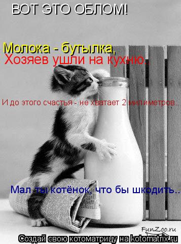 ВОТ ЭТО ОБЛОМ! Молока - бутылка, Хозяев ушли на кухню.. И до этого счастья - не хватает 2 милиметров.... Котоматрица: ВОТ ЭТО ОБЛОМ! Молока - бутылка, Хозяев ушли на кухню.. И до этого счастья - не хватает 2 милиметров.. Мал ты котёнок, что бы шкодить...