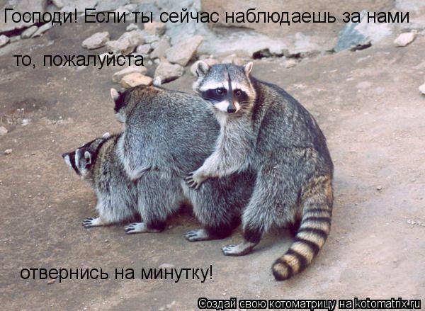 то, пожалуйста Господи! Если ты сейчас наблюдаешь за нами отвернись на минутку!... Котоматрица: то, пожалуйста Господи! Если ты сейчас наблюдаешь за нами отвернись на минутку!