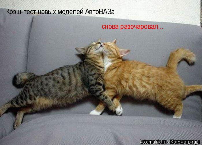Крэш-тест новых моделей АвтоВАЗа снова разочаровал...... Котоматрица: Крэш-тест новых моделей АвтоВАЗа снова разочаровал...