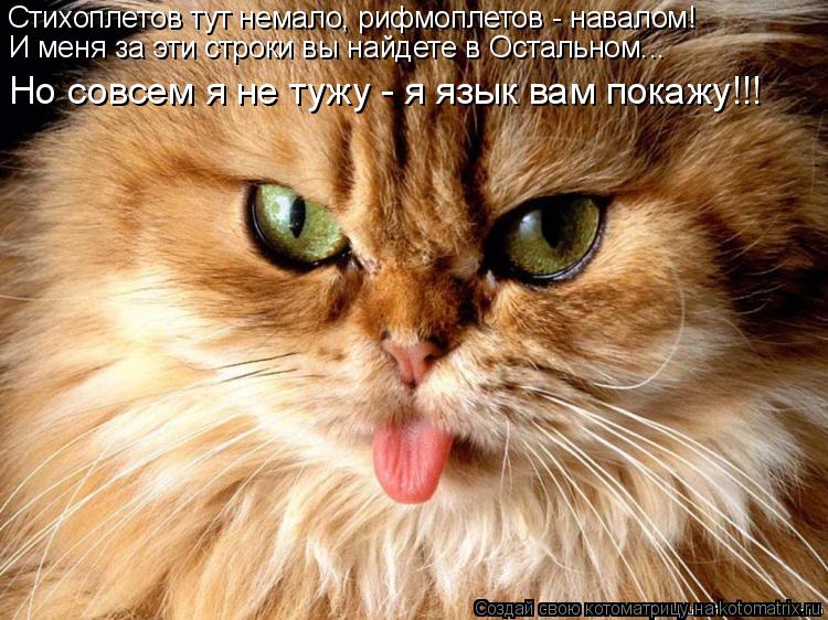 Стихоплетов тут немало, рифмоплетов - навалом! И меня за эти строки вы найдете в Остальном... Но совс... Котоматрица: Стихоплетов тут немало, рифмоплетов - навалом! И меня за эти строки вы найдете в Остальном... Но совсем я не тужу - я язык вам покажу!!!