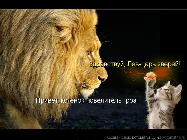 Здравствуй, Лев-царь зверей! Привет, котенок-повелитель гроз!... Котоматрица: Здравствуй, Лев-царь зверей! Привет, котенок-повелитель гроз!