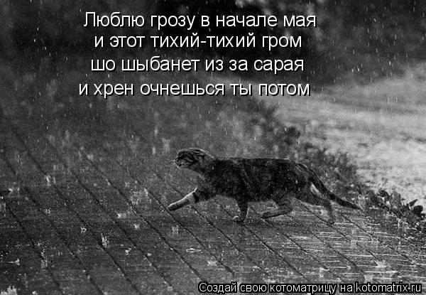 Люблю грозу в начале мая и этот тихий-тихий гром шо шыбанет из за сарая и хрен очнешься ты потом... Котоматрица: Люблю грозу в начале мая и этот тихий-тихий гром шо шыбанет из за сарая и хрен очнешься ты потом