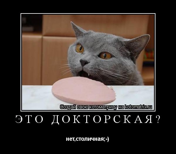 Котоматрица: это докторская? нет,столичная;-)