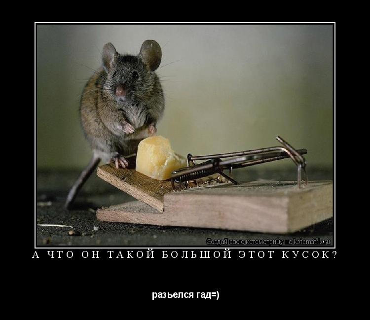 Котоматрица:  а что он такой большой этот кусок?  разьелся гад=)
