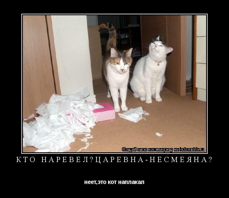 Котоматрица: кто наревел?царевна-несмеяна? неет,это кот наплакал