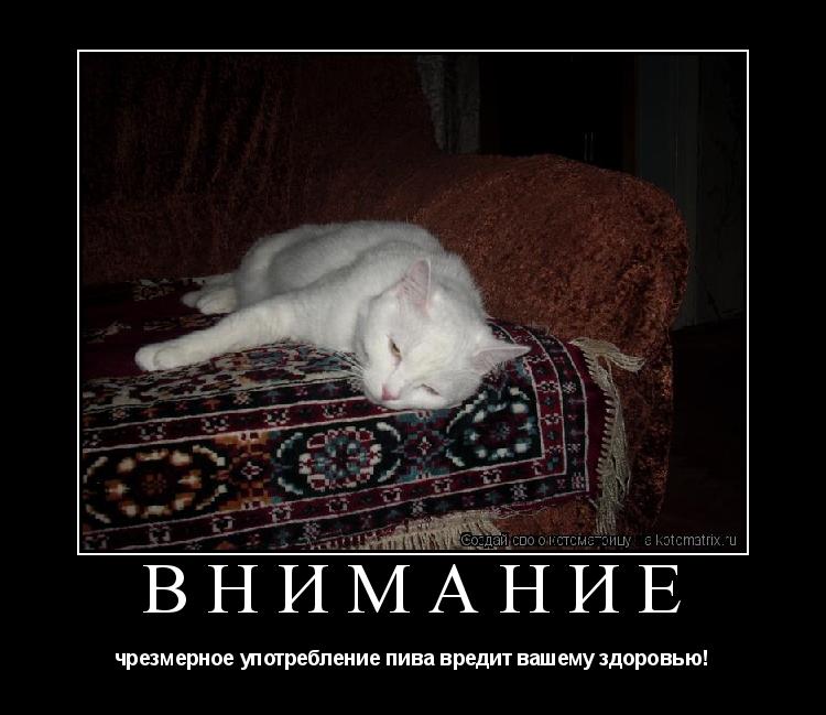 внимание чрезмерное употребление пива вредит вашему здоровью!... Котоматрица: внимание чрезмерное употребление пива вредит вашему здоровью!