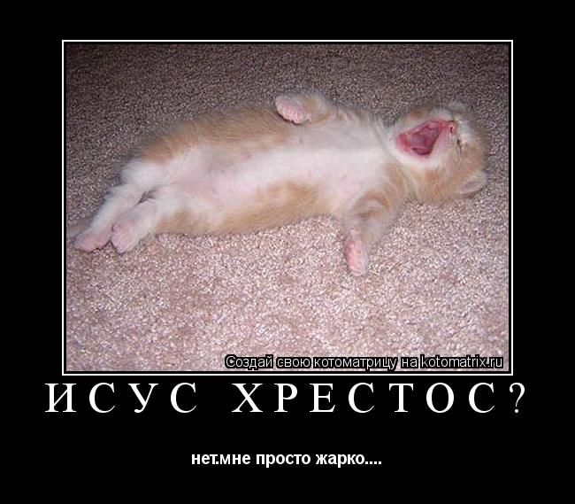 ИСУС ХРЕСТОС? нет.мне просто жарко....... Котоматрица: ИСУС ХРЕСТОС? нет.мне просто жарко....