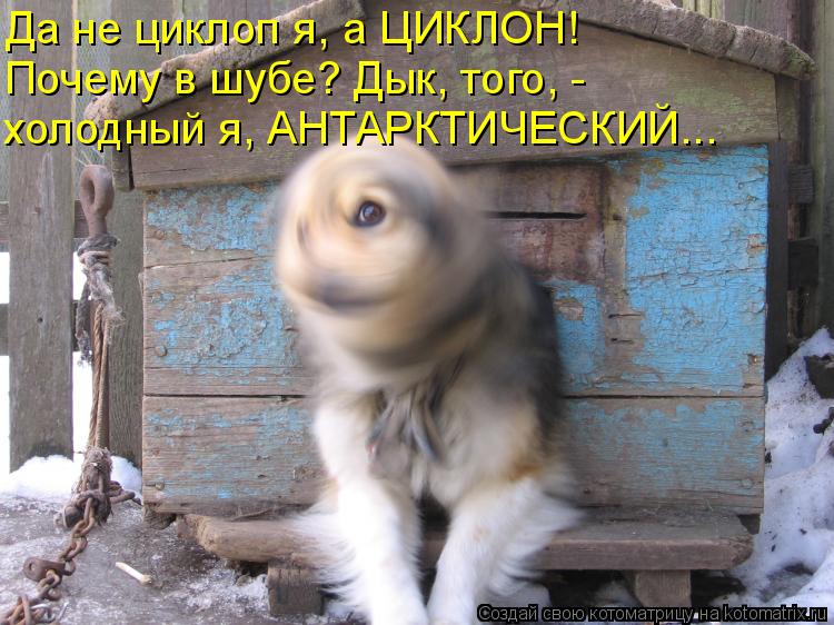 Да не циклоп я, а ЦИКЛОН! Почему в шубе? Дык, того, - холодный я, АНТАРКТИЧЕСКИЙ...... Котоматрица: Да не циклоп я, а ЦИКЛОН! Почему в шубе? Дык, того, - холодный я, АНТАРКТИЧЕСКИЙ...