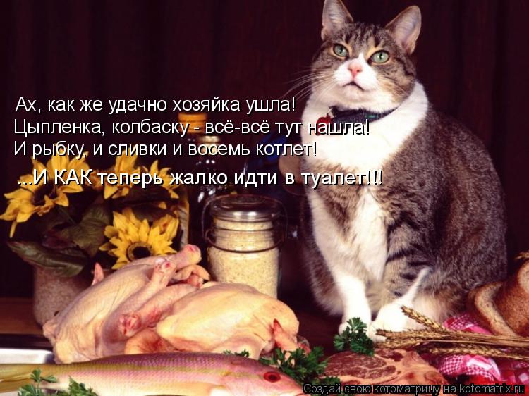 Котоматрица: Ах, как же удачно хозяйка ушла! Цыпленка, колбаску - всё-всё тут нашла! И рыбку, и сливки и восемь котлет! ...И КАК теперь жалко идти в туалет!!!